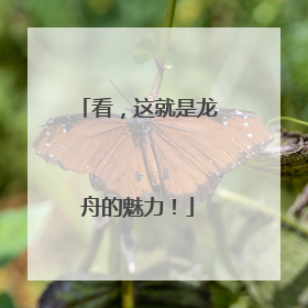 看，这就是龙舟的魅力！